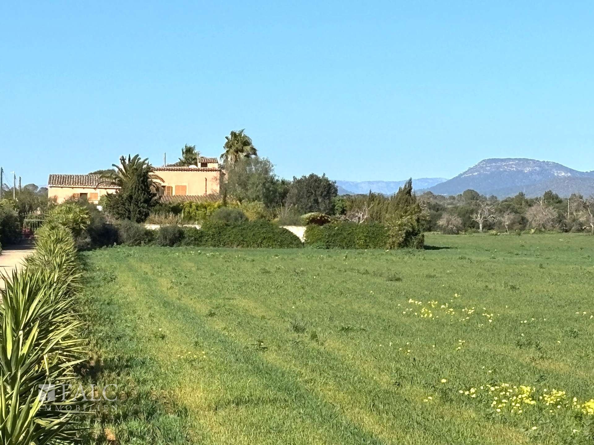 Ansicht Finca Strasse